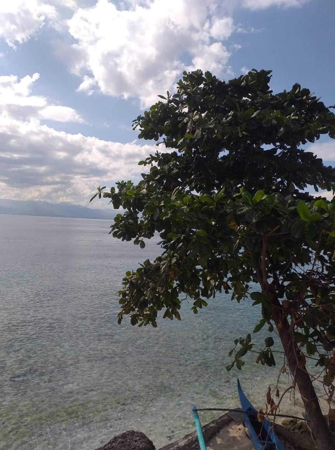 Pescador View - Beach Resort&Restaurant Moalboal Zimmer foto